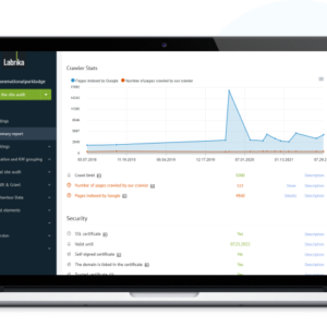 Labrika – AI pagrįstas SEO auditorius ir turinio optimizavimo įrankis